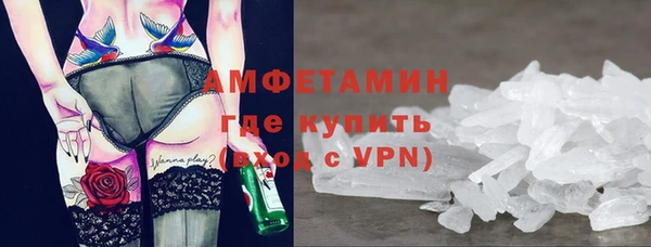 СК Дмитров
