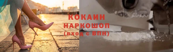 СК Дмитров