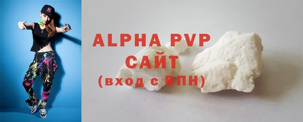 СК Дмитров