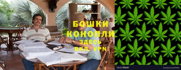 СК Дмитров